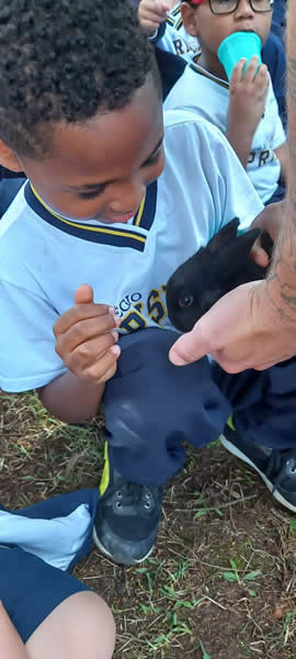 Bicho Mania 2022